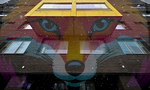 The Fox