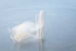 Ethereal swan