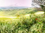Toscana